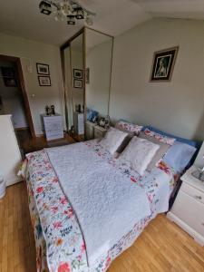 691557765:  en León