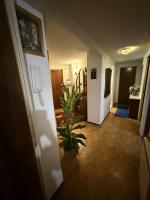 688281501:  en León