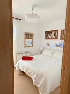 650801027:  en Guipúzcoa