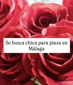 672576385:  en Málaga