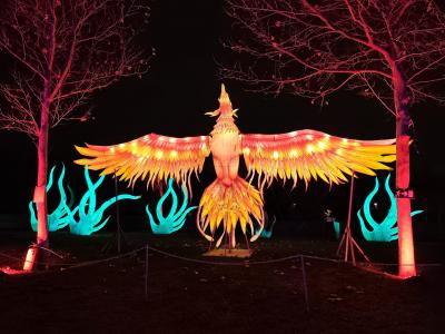 603447162:  en Madrid