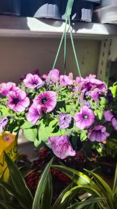 653225160: Chica busca chico en Zaragoza