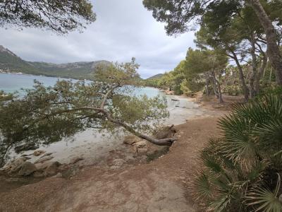 611394691:  en Mallorca