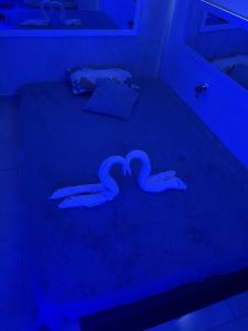 610198320:  en Málaga