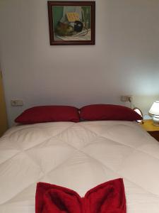 613457078:  en Alicante