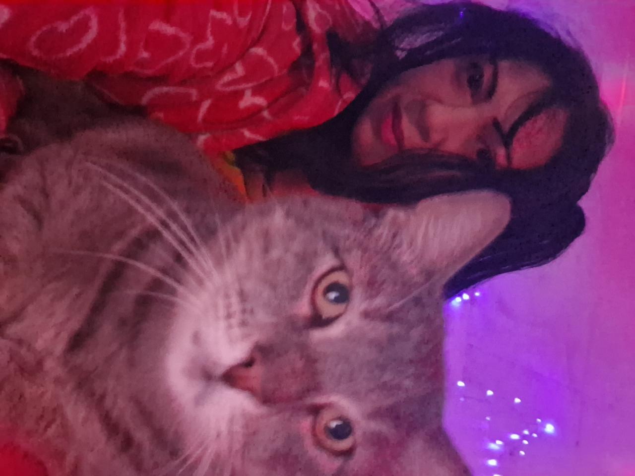 711526950:  en Valencia