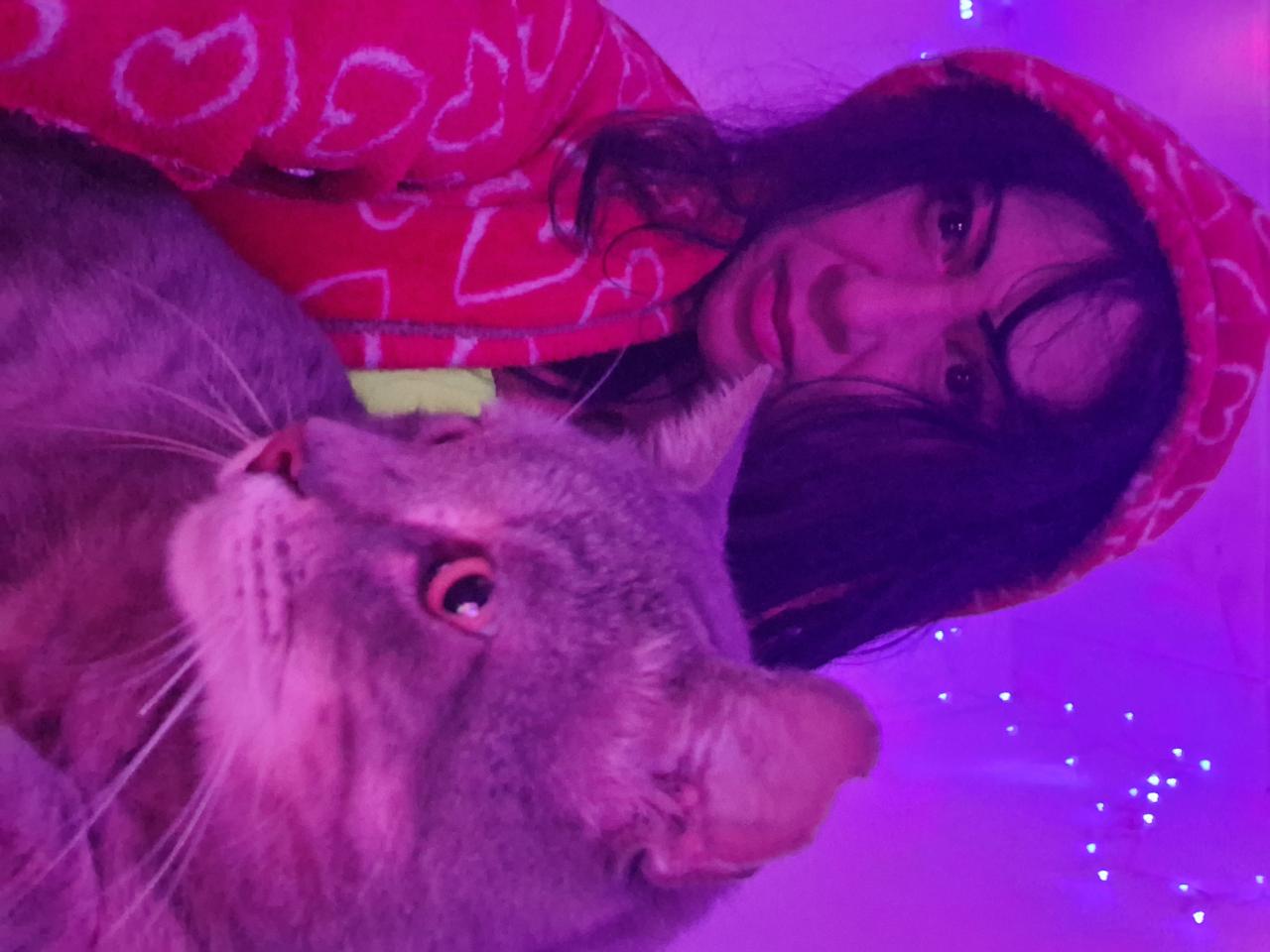 711526950:  en Valencia