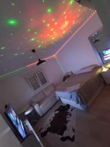 686633838:  en Zaragoza