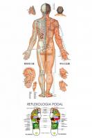 623460132: Chica busca chico en Ibiza