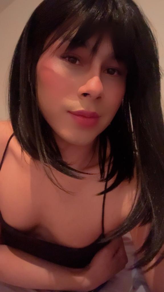 Transexual en Gerona: 