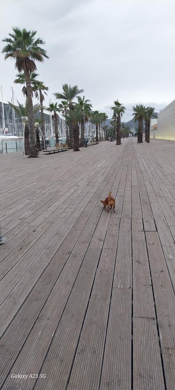 601927534:  en Murcia