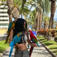 637536465: Travesti en Vizcaya