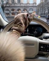 613298744:  en Barcelona