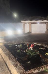 667950348:  en Granada