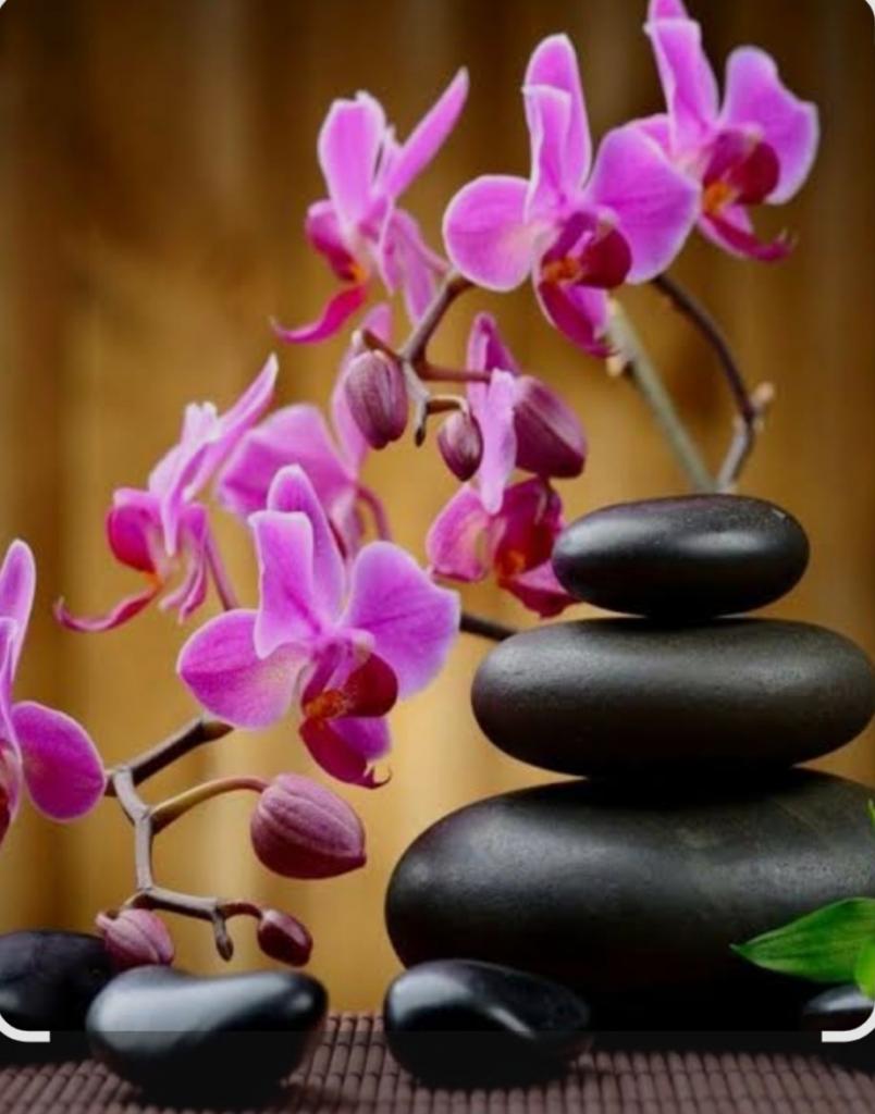 688394537:  en Madrid