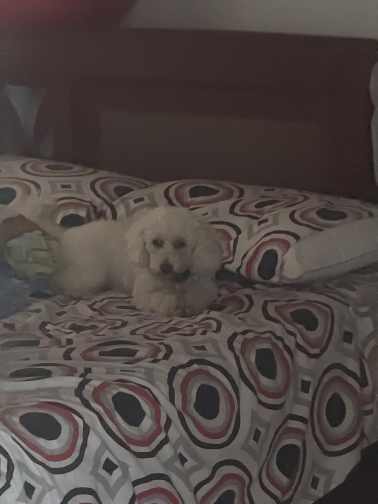 614608524: Chica busca chico en Lugo