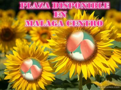 640693632:  en Málaga