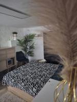 634688464:  en Las Palmas