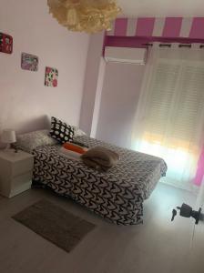 631167813:  en Murcia