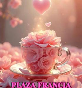 603746211:  en Madrid