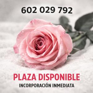 602029792:  en Pontevedra