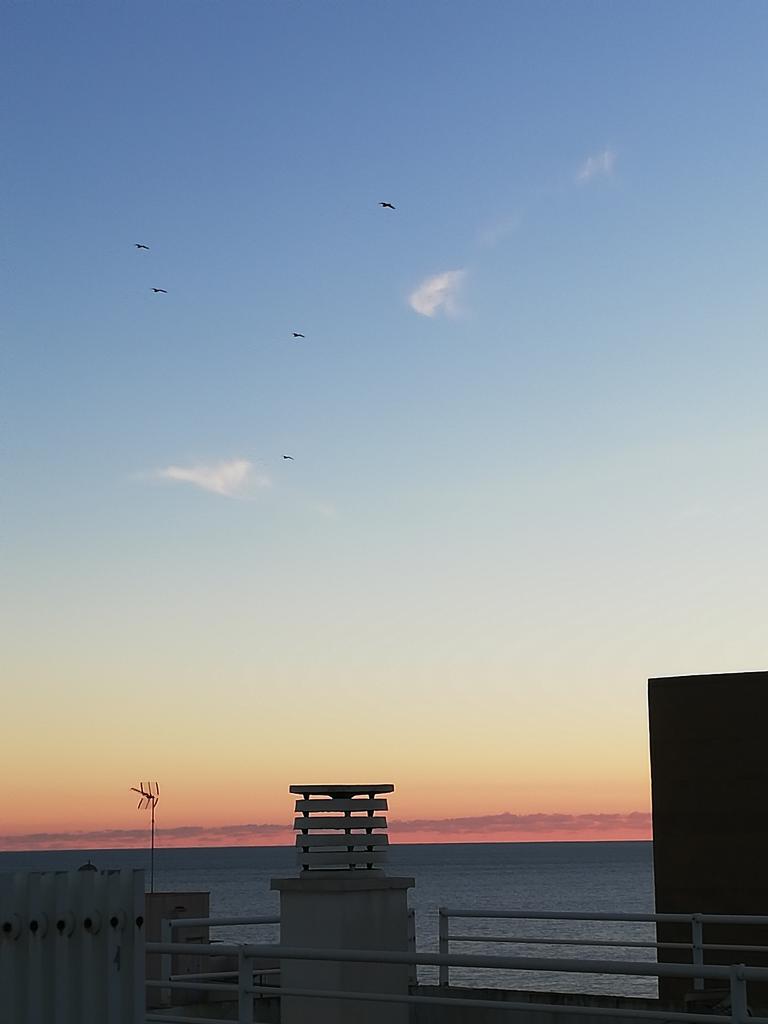 Chico busca chica en Mallorca: 