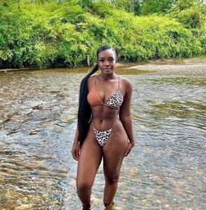 643524533: Virtual en Zamora