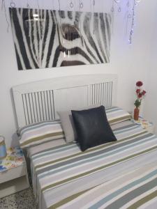 628997850:  en Granada