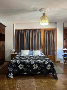 655357028:  en Zamora