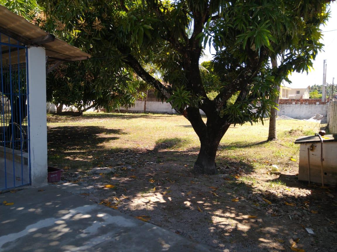 653219563:  en Cádiz