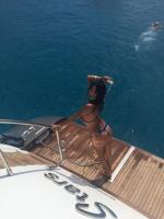 641992767: Chica busca chico en Ibiza