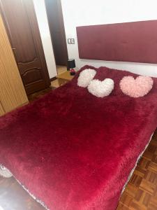 641387047:  en Burgos