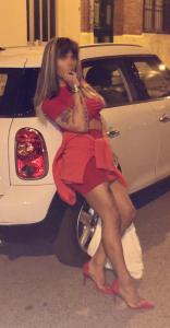 622869504: Travesti en Burgos